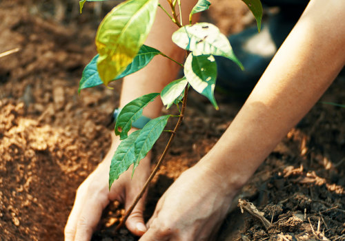 Value Investing: How to Grow and Protect Your Wealth